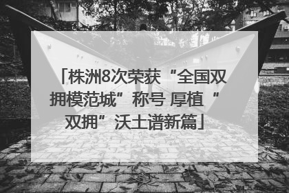 株洲8次荣获“全国双拥模范城”称号 厚植“双拥”沃土谱新篇